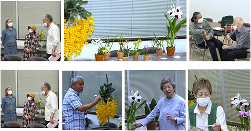 5・6月例会報告